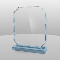 808V  Glacial Ice Award